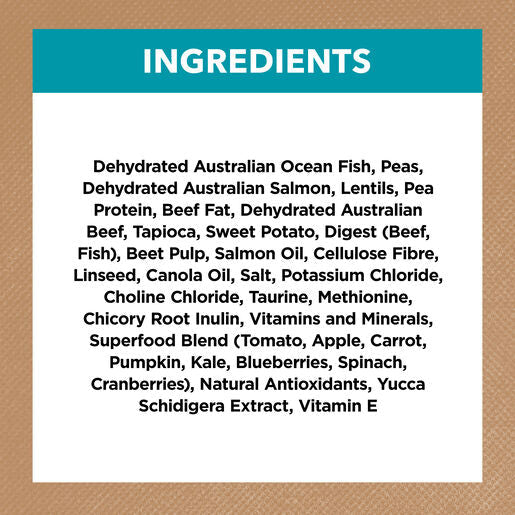 IVORY COAT Grain Free Adult Dry Cat Food Ocean Fish & Salmon 2kg