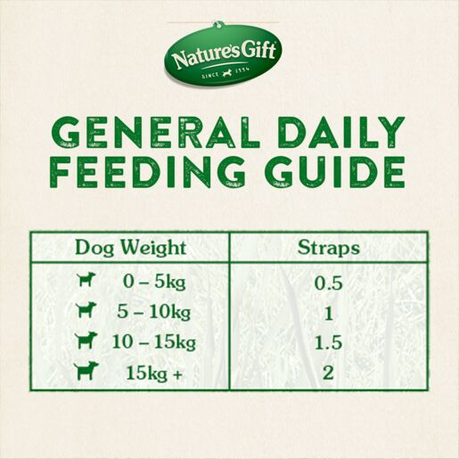 Nature's Gift Dog Treats Straps Beef with Liver 150g